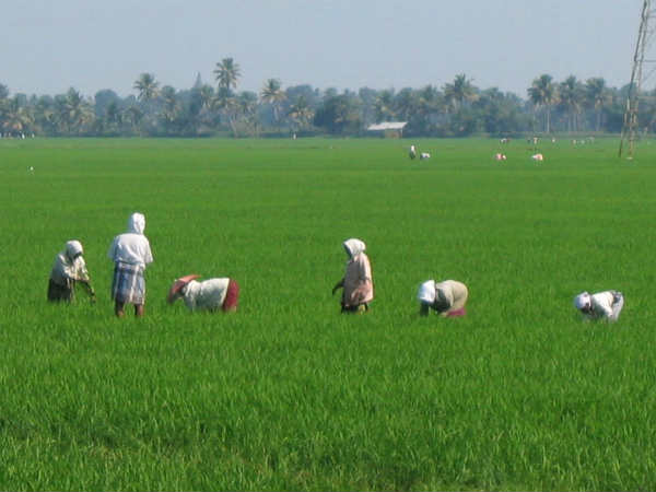 விவசாயக் கடன் இலக்கு 