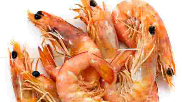 இதுவரை பாதிப்பு இல்லை 