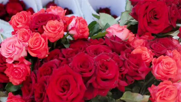 பிப்ரவரியில் அதிகரிக்கும் 