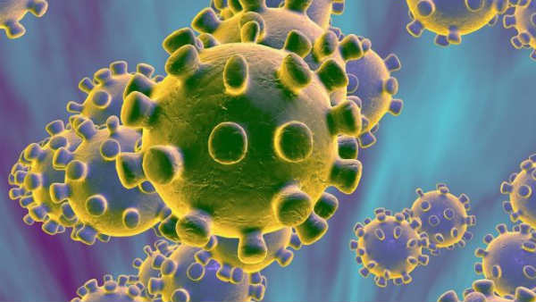 தங்கத்தில் முதலீடு 