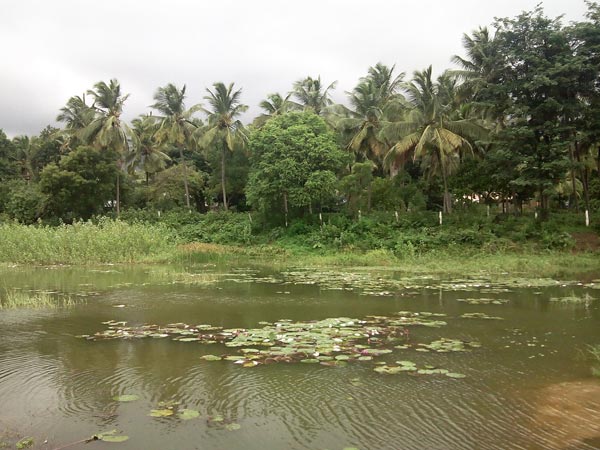 நீர் பற்றாக்குறையை போக்க நடவடிக்கை 