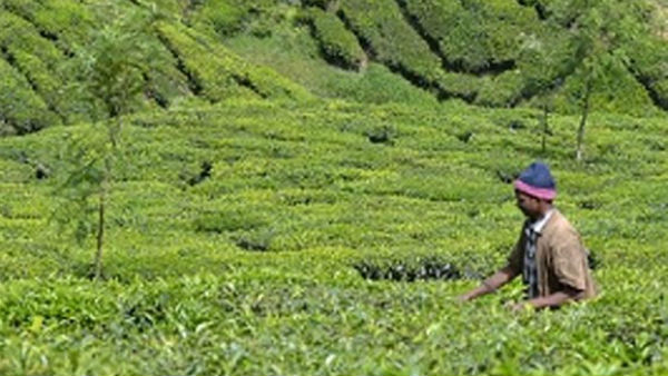 21 நாள் லாக்டவுன்