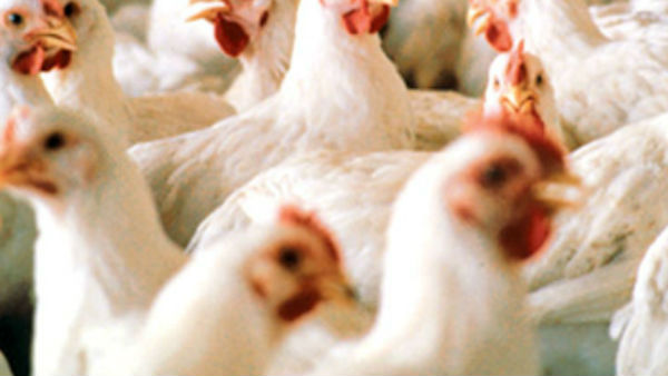 காரணம் இது தான் 