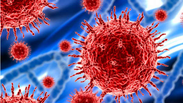 2 வார விடுமுறை 