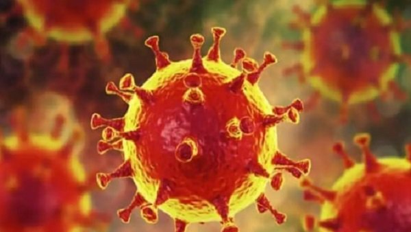 சீனாவில் இருந்து இறக்குமதி 