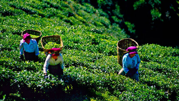 இந்தியா