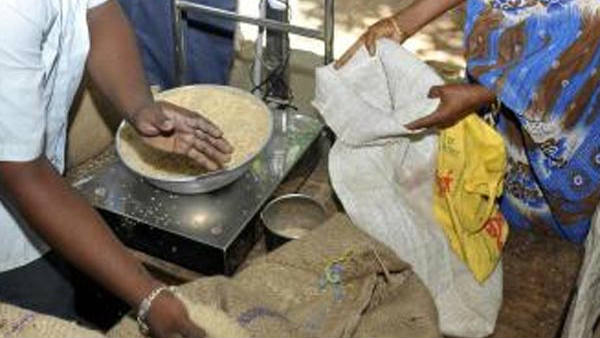 அரிசி கோதுமை 