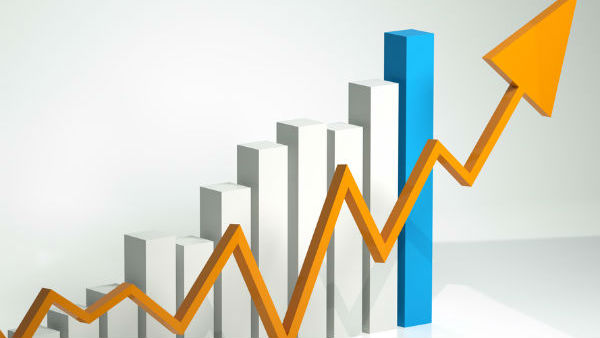 விட்டதைப் பிடிக்கும் பங்குகள் 