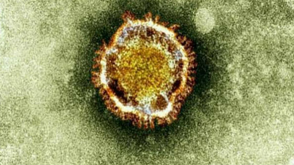 சுகாதார பொருட்கள் 