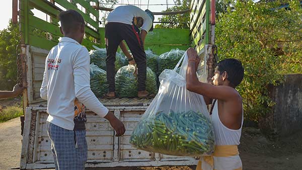 விவசாயம் மற்றும் முக்கியப் பணிகள்