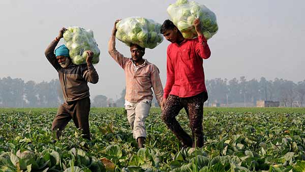 புதிய திட்டம்