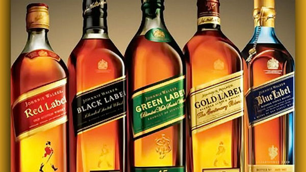 Pulpex - புதிய நிறுவனம் 