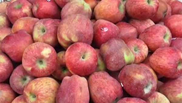 வரத்து அதிகரிப்பால் குறைவு 