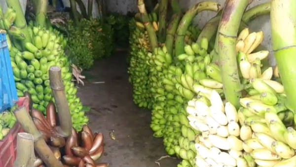 களை கட்டும் வியாபாரம் 