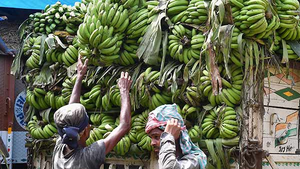 கமிஷன் மண்டி 