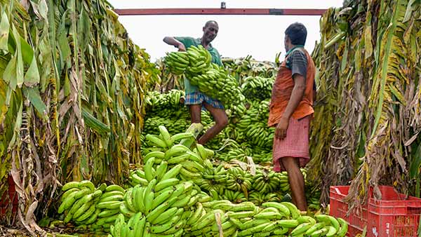 காந்தி மார்க்கெட் 