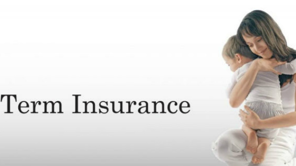 டெர்ம் இன்சூரன்ஸ் திட்டம் 