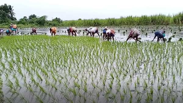 பொருளாதார வளர்ச்சி 