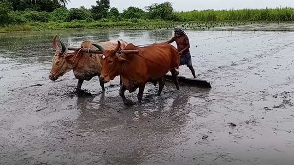  ஜீரோ பாதிப்பு 