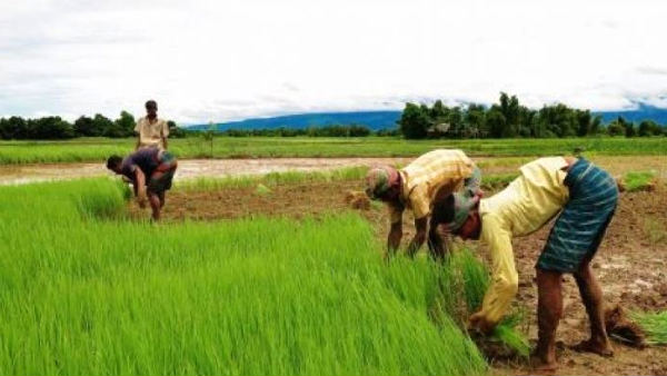  முக்கியத் துறைகள் 