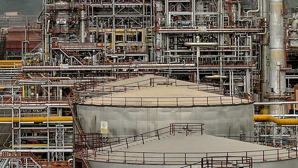  22 சதவீத சந்தை