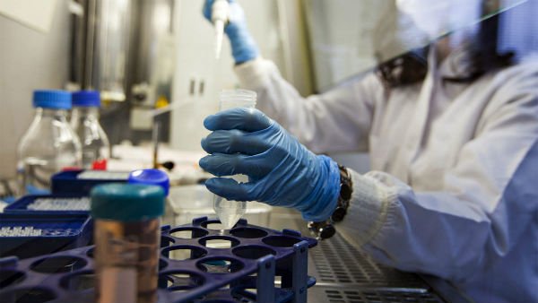 பரிசோதனை மூலம் சோதனை 