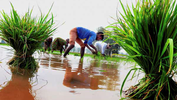 அரசின் பிணையில்லா அவசர கடன் 