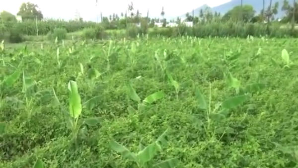 விவசாய உற்பத்தி 