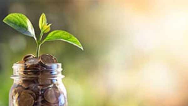 எப்படி நிலுவையினை தெரிந்து கொள்வது? 