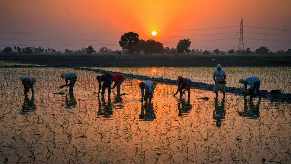 சீனாவிற்குத் தடை 