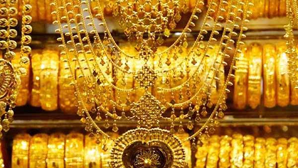 இந்த வாரத்தில் என்ன செய்யலாம்? 