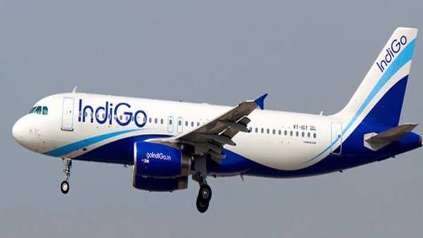 இண்டிகோ 