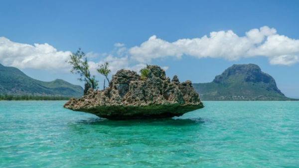 மொரீஷியஸ் பின்னடைவு 