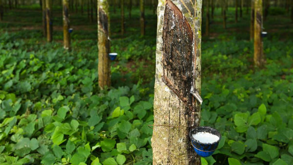 தேவை நிச்சயம் அதிகரிக்கும் 