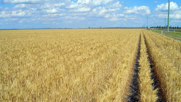 கேஸ்கேட் இண்வெஸ்ட்மென்ட் நிறுவனம் 