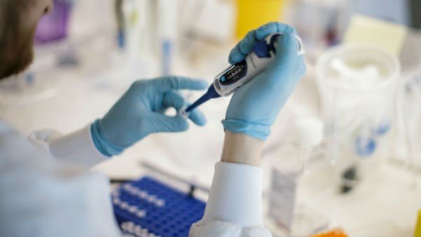 தங்கத்திற்கு எதிரான முக்கிய காரணி 