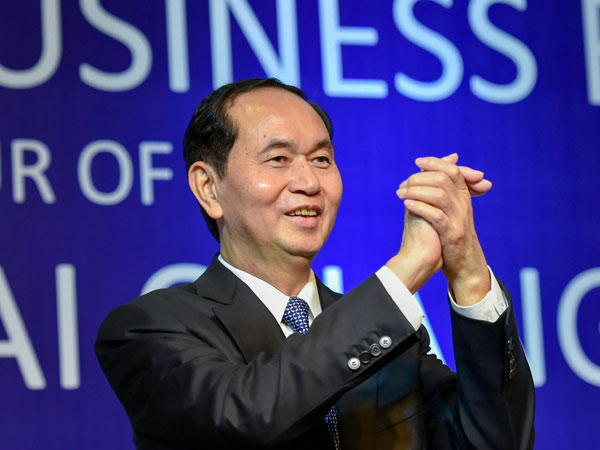 வியட்நாம் முன்னோடி 