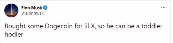 அப்பாவை போல மகனும்.. 9 மாத குழந்தைக்கு டோஜ்காயின் வாங்கிக் கொடுத்த எலான் மஸ்க்..! 