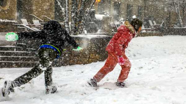 யூபிஎஸ் மற்றும் பெட்எக்ஸ் 