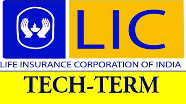 டெர்ம் திட்டங்கள் என்றால் என்ன? 