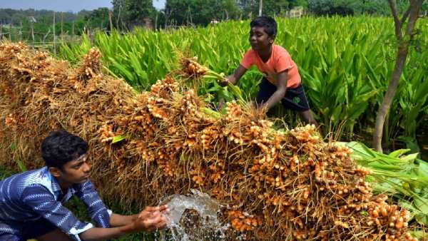 மகாராஷ்டிரா மாநிலம் 