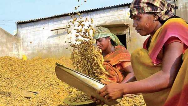 மஞ்சள் விலை உயர்வு 