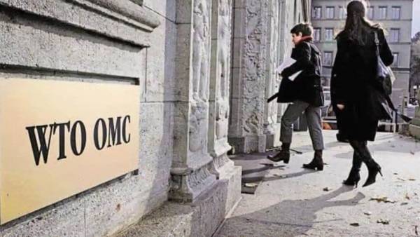 வளர்ச்சியினை உந்துகின்றன 