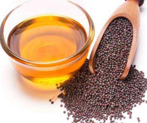 கடுகு எண்ணெய் விலை