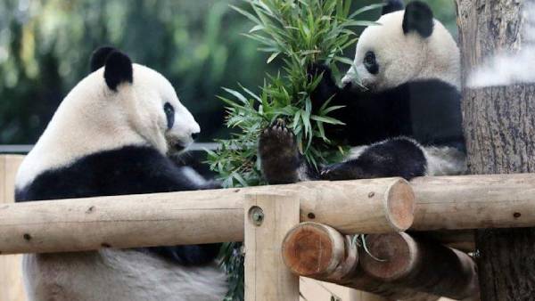 ஹோட்டல் பங்குகள் உயர்வு 