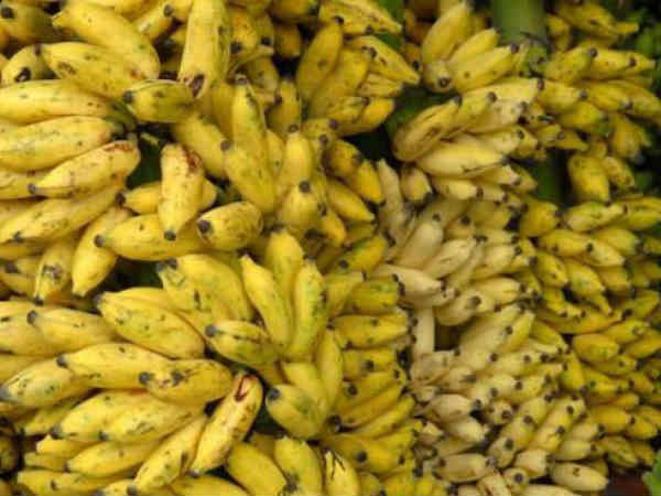 உணவு பஞ்சம் 