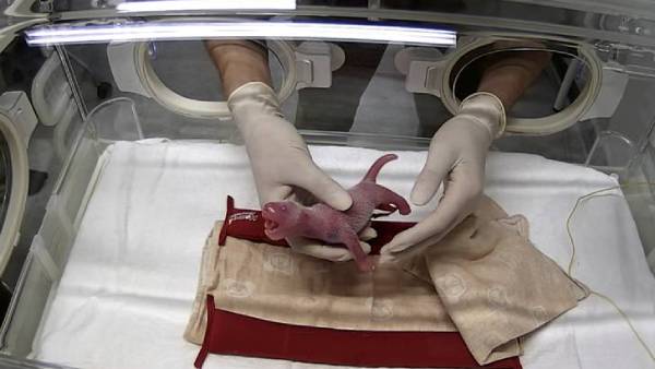 என்ன காரணம்.?! 