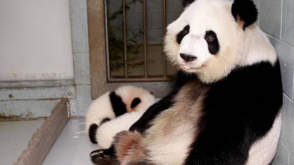 ஏனோ உயிரியல் பூங்கா 