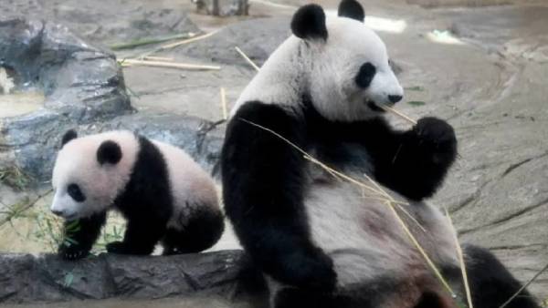 2000 பேர் மட்டுமே அனுமதி 