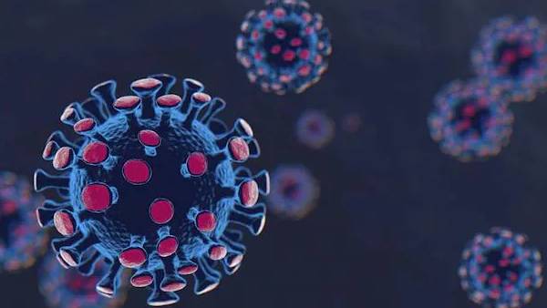 டெல்டா வகைக் கொரோனா வைரஸ்